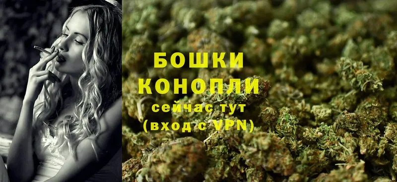 Конопля SATIVA & INDICA  Камешково 